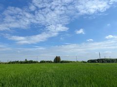 -嘉北郊野公园