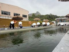 -DGE季风钓虾营地·团建·聚会
