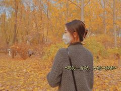 -森林公园(尖草坪区)
