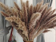 -海韵人家.海景花园经典云南菜(双廊店)