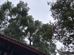 -成都市文殊院