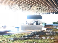 -Seesaw Coffee(朝阳大悦城店)