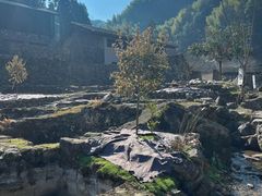 -MOJ coffee(瓯海泽雅水碓坑店)