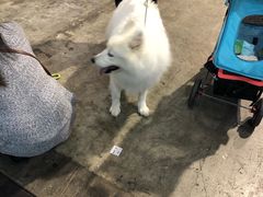 -香港会议展览中心演讲厅