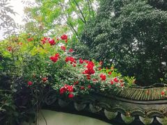 -绮园景区
