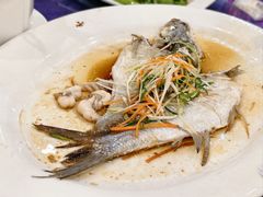 三黎鱼-西江河鲜·趣苑酒楼(鼎湖牌坊店)
