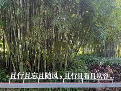 -云溪植物园