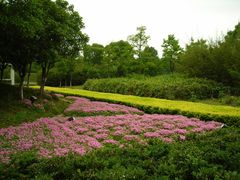 -白塘生态植物园