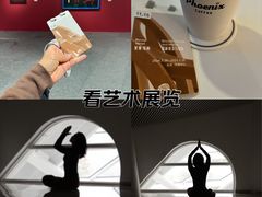 -凤凰中心