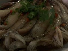 -苏州凯悦酒店·酒肆(华池街店)
