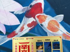 -东北大学附属辽宁爱尔眼科医院