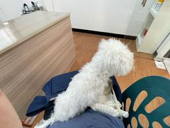 -荔康动物医院(康王北路店)