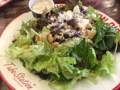 -Tubestation站点比萨(五道营店)