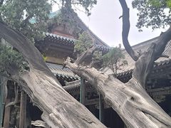 -晋祠博物馆
