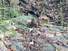 -重庆云阳龙缸景区