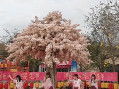 -盈香心动乐园