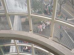 -同济大学附属口腔医院