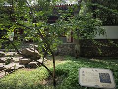 -颐和园
