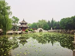 -莲池书院博物馆