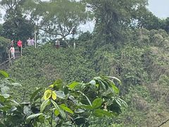 -海口火山口国家地质公园