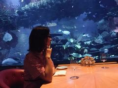 -迪拜帆船酒店海底餐厅