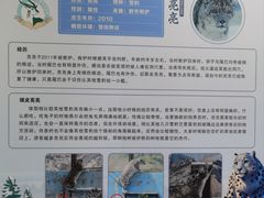 -青藏高原野生动物园