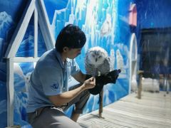 -成都浩海立方海洋公园