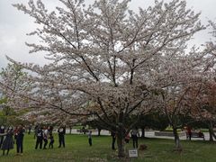 -明故宫遗址公园