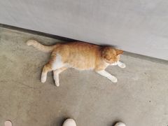 -隹木咖啡馆(宝龙广场店)