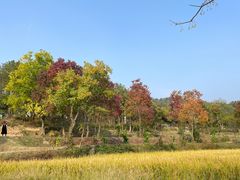 -黄陂区野村谷景区