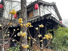 -巡塘古镇