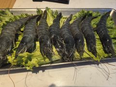 -杨记齐齐哈尔烤肉(总店)