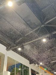 -Mr·Kuma酷么先生雪之乐园