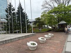 -大通公园