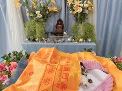 -彩虹桥宠物火化殡葬善终服务(金乐大厦店)