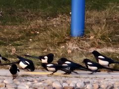 -森林公园(尖草坪区)