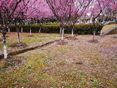 -白塘生态植物园