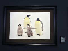 -罗红摄影艺术馆