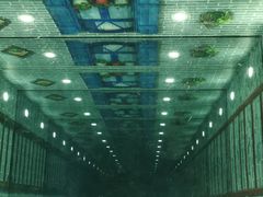 -郑州梵高星空错觉艺术馆(大上海城旗舰店)