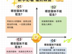 -美迦爱-牙专科·兔科·骨科诊疗中心(北苑店)
