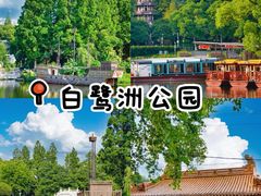 -奇芳阁·百年清真南京菜(夫子庙店)