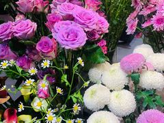 -植物学家的女儿(北马道巷店)