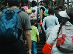 -铁山坪森林公园