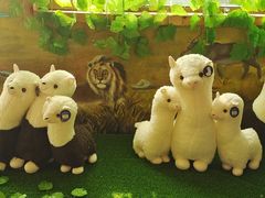 -北京鹿世界主题园