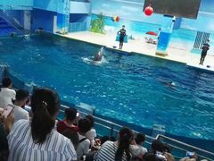 -锦艺城海洋馆