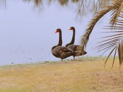 -艾溪湖湿地公园