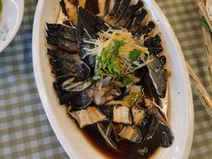 -京北渔家傲