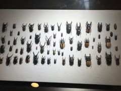 -燕莎友谊商城(亮马桥店)