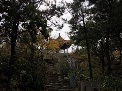 -燕窝岭