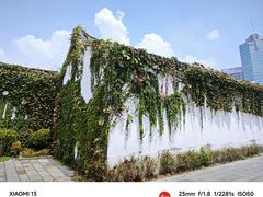 -青果巷历史文化街区